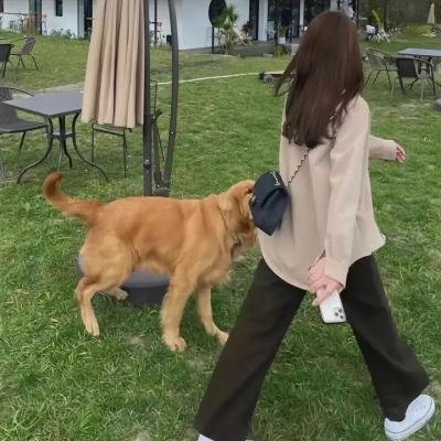 租房遇甜妹，我追你笑什么